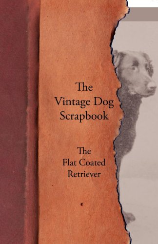 Vintage Dog Scrapbook - the Flat Coated Retriever [Paperback]