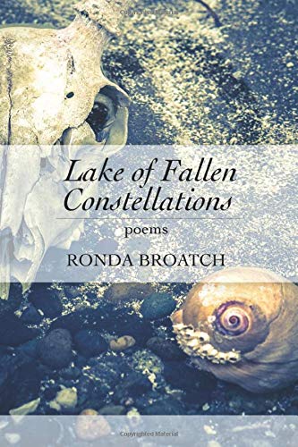 Lake Of Fallen Constellations [Paperback]