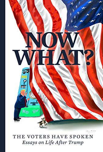 Now What?: The Voters Have SpokenEssays on Life After Trump [Paperback]