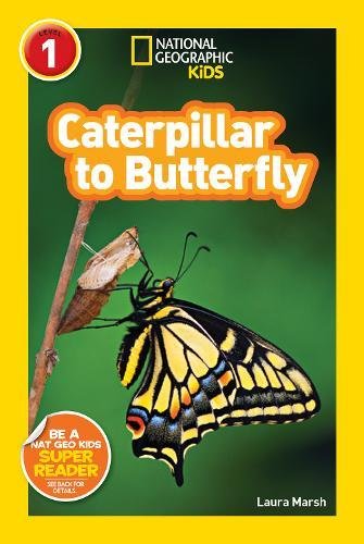 National Geographic Readers: Caterpillar to Butterfly [Paperback]