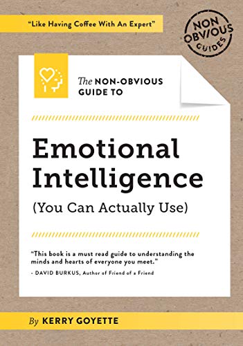 The Non-Obvious Guide to Emotional Intelligence [Paperback]