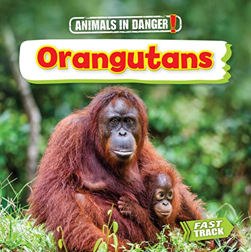 Orangutans [Paperback]