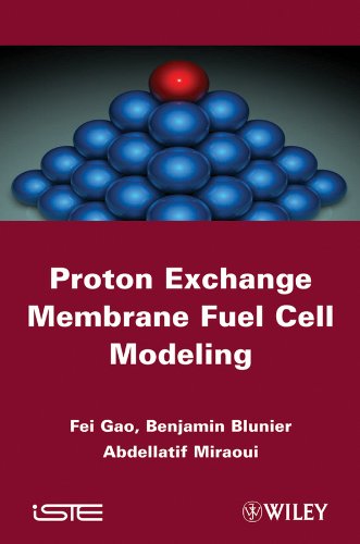 Proton Exchange Membrane Fuel Cells Modeling [Hardcover]