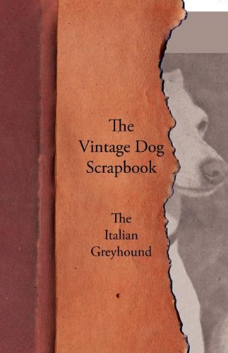 Vintage Dog Scrapbook - the Italian Greyhound [Paperback]