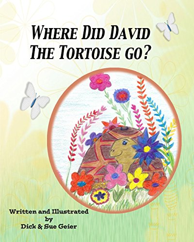 Where Did David The Tortoise Go [Paperback]