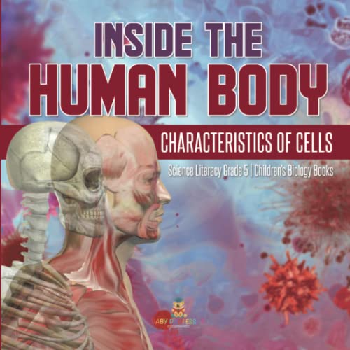 Inside The Human Body