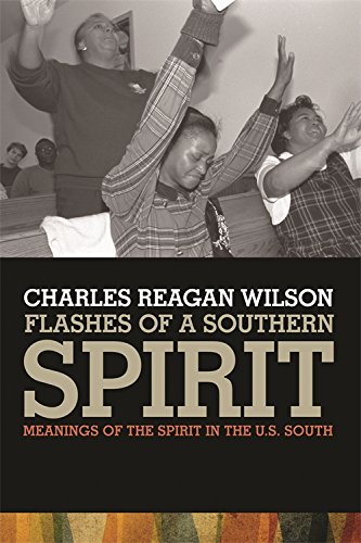 Flashes of a Southern Spirit Meanings of the Spirit in the U.S. South [Hardcover]