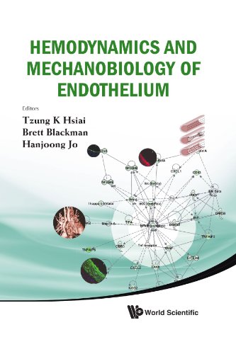 Hemodynamics And Mechanobiology Of Endothelium [Hardcover]