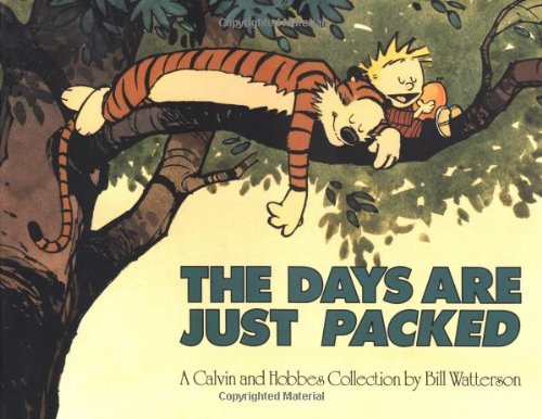 The Days Are Just Packed [Paperback]