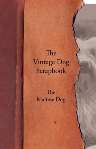 Vintage Dog Scrapbook - the Maltese [Paperback]