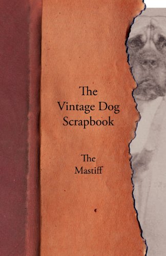 Vintage Dog Scrapbook - the Mastiff [Paperback]