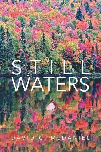 Still Waters [Paperback]