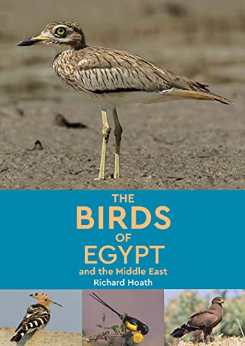 The Birds of Egypt and the Middle East [Paperback]