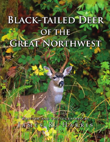 Black-Tailed Deer of the Great Northest [Paperback]