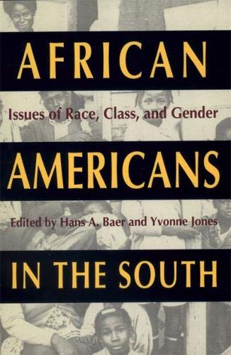 African Americans in the South Issues of Race, Class, and Gender [Paperback]