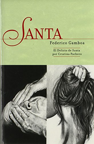 Santa Y El Delirio De Santa (spanish Edition) [Paperback]