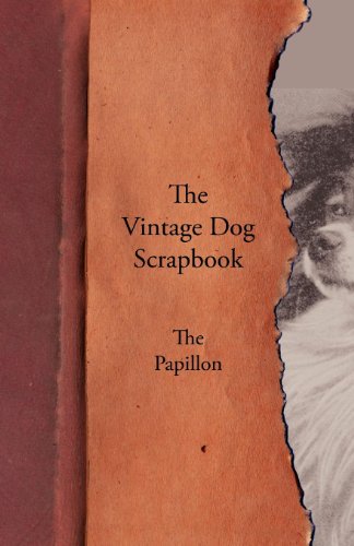 Vintage Dog Scrapbook - the Papillon [Paperback]