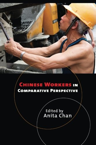 Chinese Workers In Comparative Perspective [Paperback]