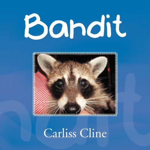 Bandit [Paperback]