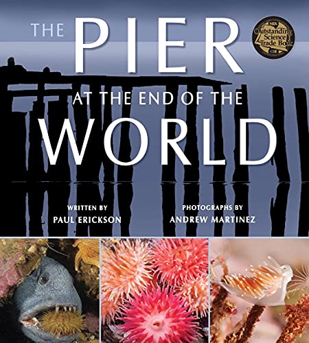 The Pier at the End of the World [Paperback]