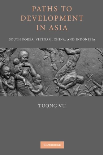 Paths to Development in Asia South Korea, Vietnam, China, and Indonesia [Paperback]