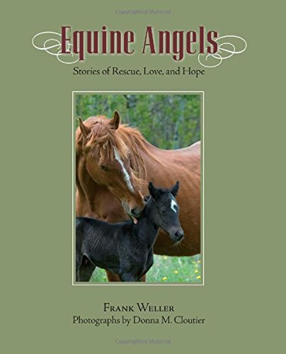 Equine Angels: Stories Of Rescue, Love, And Hope [Hardcover]