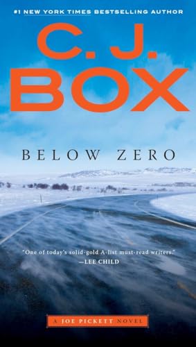 Below Zero [Paperback]