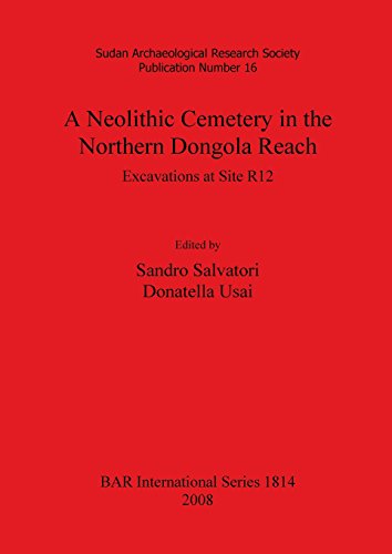 Neolithic Cemetery in the Northern Dongola Reach  Excavations at Site R12 [Paperback]