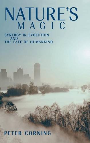 Nature's Magic Synergy in Evolution and the Fate of Humankind [Hardcover]