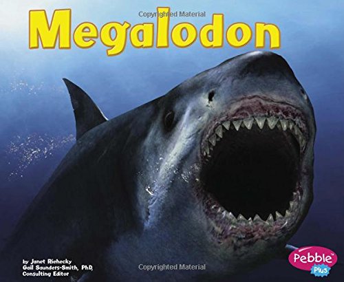 Megalodon [Unknown]