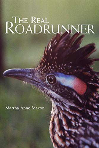 Real Roadrunner [Paperback]