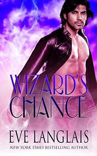 Wizard's Chance [Paperback]