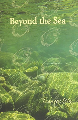 Beyond The Sea Tranquility [Paperback]