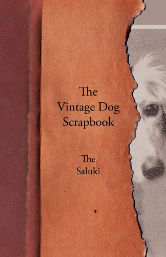 Vintage Dog Scrapbook - the Saluki [Paperback]