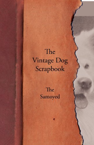 Vintage Dog Scrapbook - the Samoyed [Paperback]