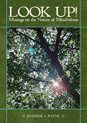 Look Up Musings On The Nature Of Mindfulness [Paperback]