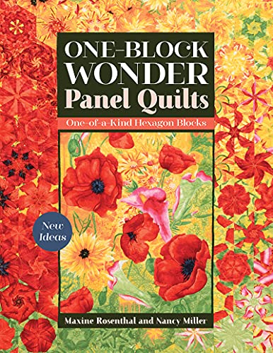 One-Block Wonder Panel Quilts: New Ideas; One-of-a-Kind Hexagon Blocks [Paperback]