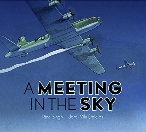 A Meeting in the Sky [Hardcover]