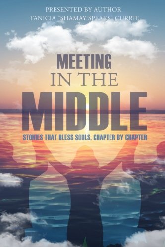 Meeting in the Middle  Stories That Bless Souls, Chapter by Chapter [Paperback]