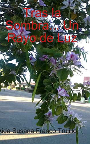 Tras la Sombra... un Rayo de Luz [Hardcover]