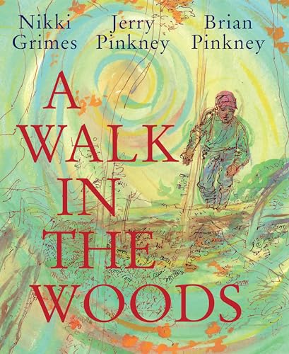 A Walk in the Woods [Hardcover]