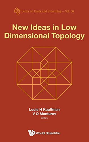 Ne Ideas In Lo Dimensional Topology (series On Knots And Everything) [Hardcover]