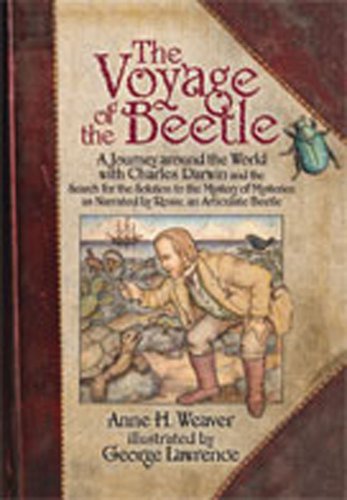 The Voyage Of The Beetle [Hardcover]