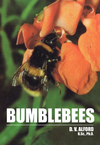 Bumble Bees [Paperback]