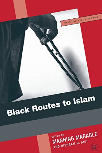 Black Routes to Islam [Paperback]