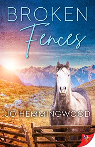 Broken Fences [Paperback]