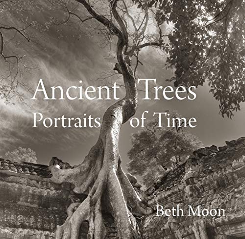 Ancient Trees: Portraits of Time [Hardcover]