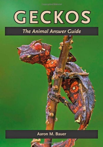 Geckos: The Animal Answer Guide (the Animal Answer Guides: Q&a For The Curious N [Hardcover]