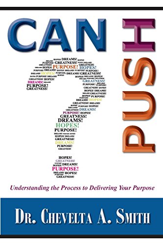 Can I Push Understanding The Process To Delivering Your Purpose [Paperback]