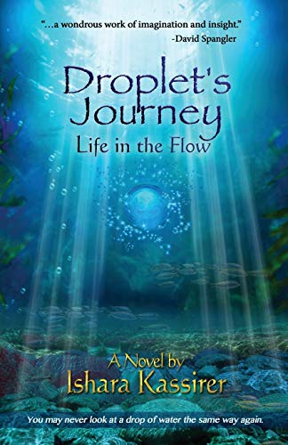 Droplet's Journey Life In The Flo [Paperback]